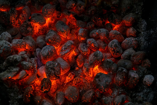 Charcoal raw material